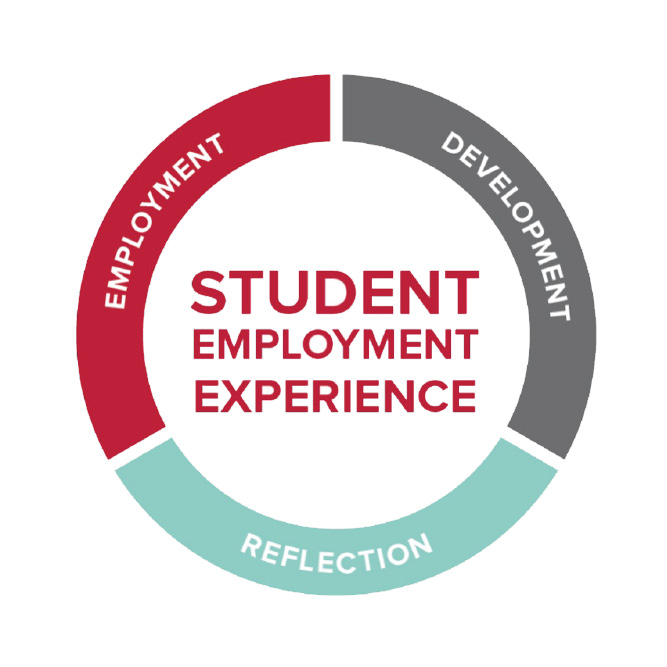 Student Employment Experience wheel